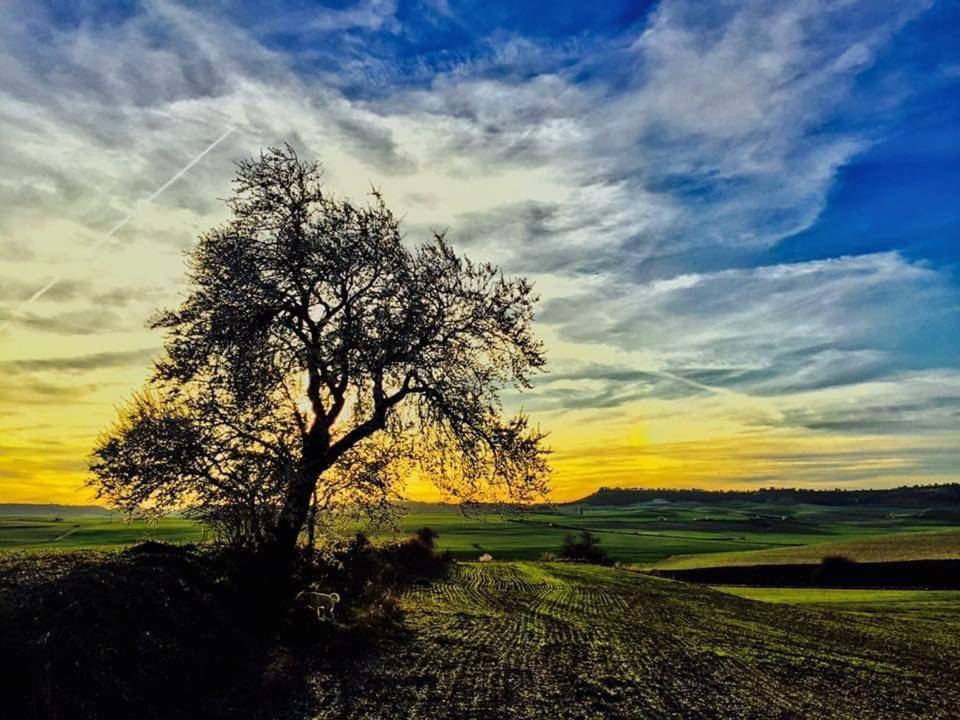 El Rincon Del Alma Mia Villa Simancas Exteriör bild